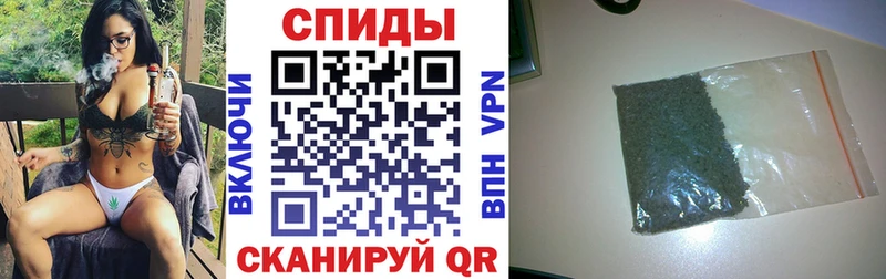 Бутират BDO ОМГ ОМГ Дигора магазин продажи