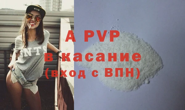 гашиш Богданович