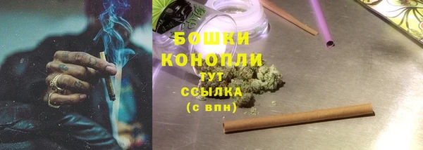 гашиш Богданович