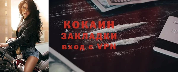молекула духа Богородицк