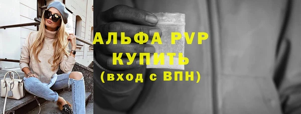 гашиш Богданович