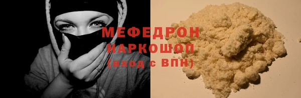 молекула духа Богородицк