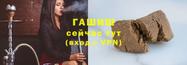 молекула духа Богородицк