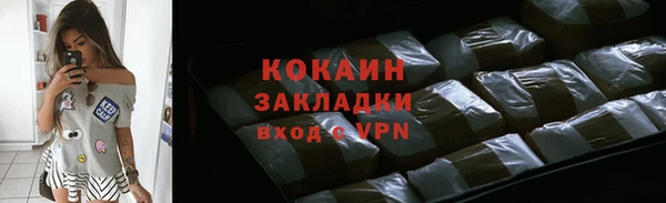 гашиш Богданович