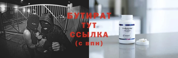 молекула духа Богородицк