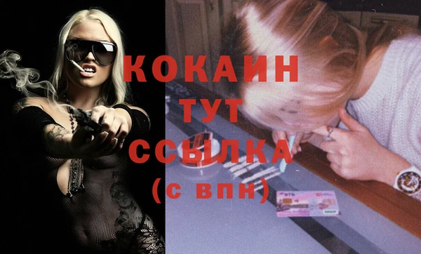 молекула духа Богородицк