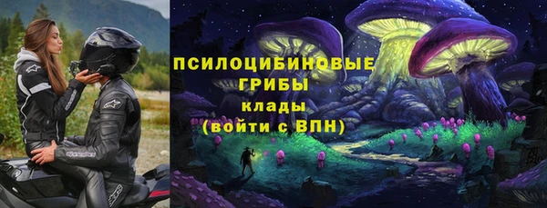 ECSTASY Богородск