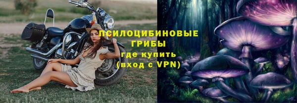 ECSTASY Богородск