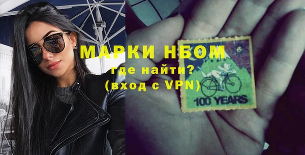 молекула духа Богородицк