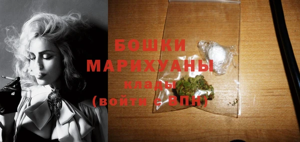 гашиш Богданович
