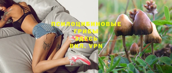 молекула духа Богородицк