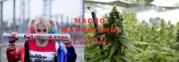 молекула духа Богородицк